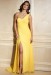 Beautiful-Terani-Couture-Evening-Dress-Collection (15)
